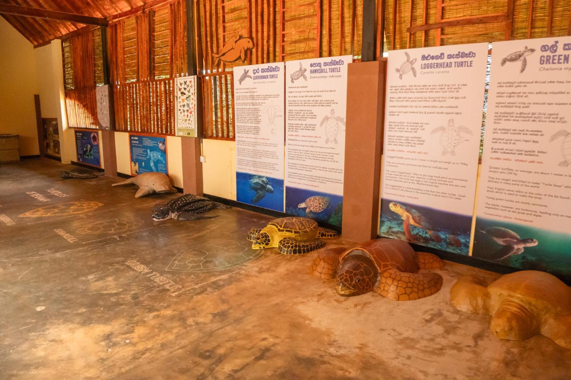 Rekawa Turtle Gate Hotel Тангалла Экстерьер фото